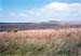 moorland on snowdonia