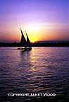 Nile sunrise